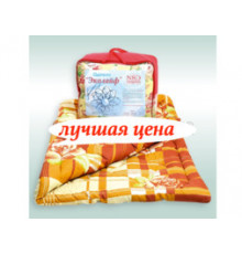 Одеяло Эколайф Эконом 300гр Евро 200x215